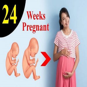 هفته 24 حاملگی