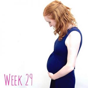 هفته 29 حاملگی